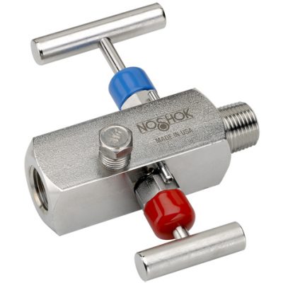 Válvula de Aguja Bloqueo y Purga - Noshok