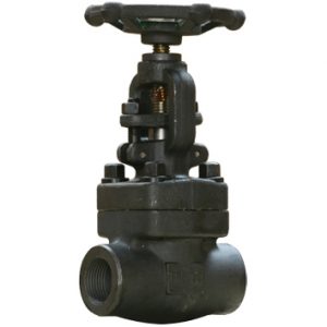 Válvula de Globo Acero Carbono #800 - PROTEK