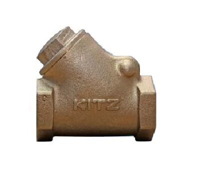 Válvula de Retención 300